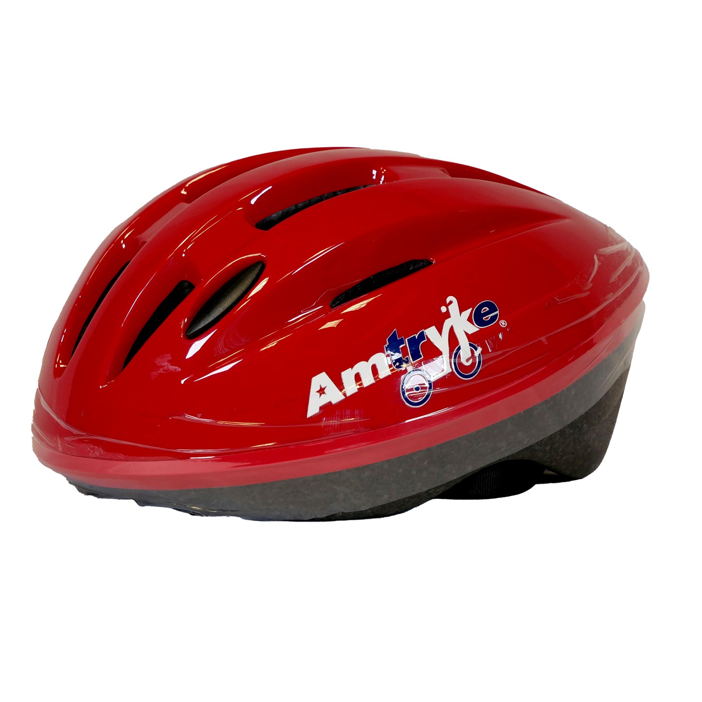 Amtryke® Large Helmet (Adult)