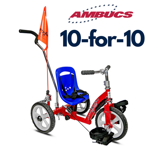 10-for-10 Promotion Shipping Charge - Official Amtryke Store
