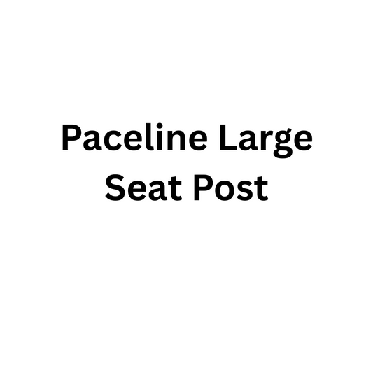 Paceline Large Seat Post - Official Amtryke Store
