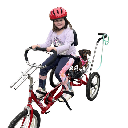 Amtryke® Pro Series 1416 | Upright Foot Adaptive Tricycle