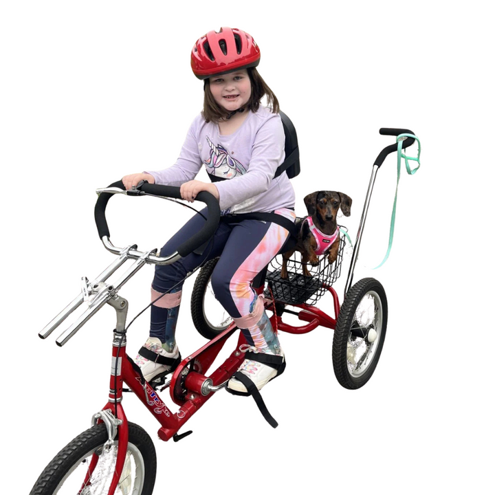 Amtryke® Adaptive Tricycles – Official Amtryke Store